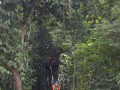 Tn DSC 4281